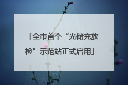 全市首个“光储充放检”示范站正式启用