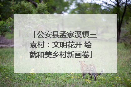 公安县孟家溪镇三袁村：文明花开 绘就和美乡村新画卷