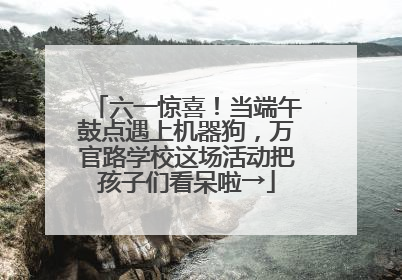 六一惊喜！当端午鼓点遇上机器狗，万官路学校这场活动把孩子们看呆啦→