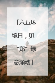 六五环境日，见“郑”绿意涌动