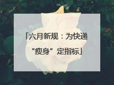 六月新规：为快递“瘦身”定指标