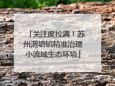 关注度拉满！苏州渭塘镇精准治理小流域生态环境