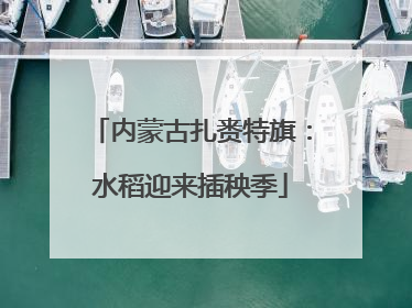 内蒙古扎赉特旗：水稻迎来插秧季