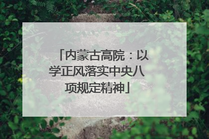 内蒙古高院：以学正风落实中央八项规定精神