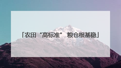 农田“高标准” 粮仓根基稳
