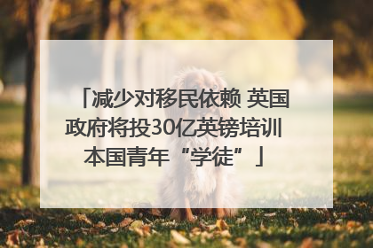 减少对移民依赖 英国政府将投30亿英镑培训本国青年“学徒”