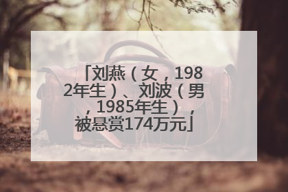 刘燕（女，1982年生）、刘波（男，1985年生），被悬赏174万元