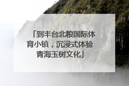 到丰台北粮国际体育小镇，沉浸式体验青海玉树文化