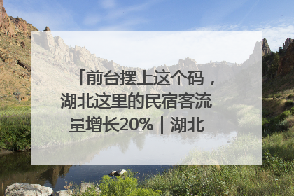 前台摆上这个码，湖北这里的民宿客流量增长20%｜湖北市场监管所的故事