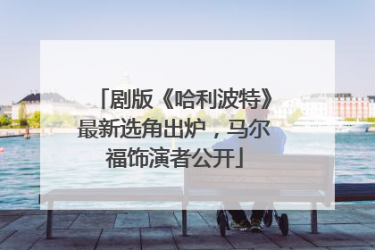 剧版《哈利波特》最新选角出炉，马尔福饰演者公开