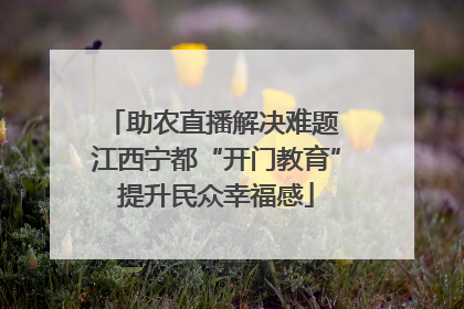 助农直播解决难题 江西宁都“开门教育”提升民众幸福感