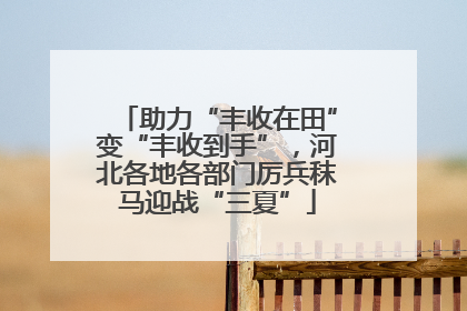 助力“丰收在田”变“丰收到手”，河北各地各部门厉兵秣马迎战“三夏”