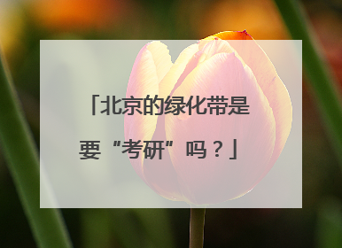北京的绿化带是要“考研”吗？
