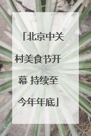 北京中关村美食节开幕 持续至今年年底