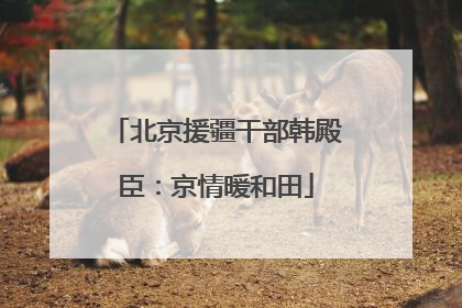 北京援疆干部韩殿臣：京情暖和田
