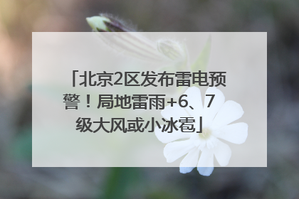 北京2区发布雷电预警！局地雷雨+6、7级大风或小冰雹