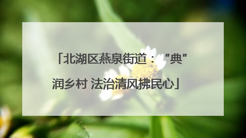 北湖区燕泉街道：“典”润乡村 法治清风拂民心