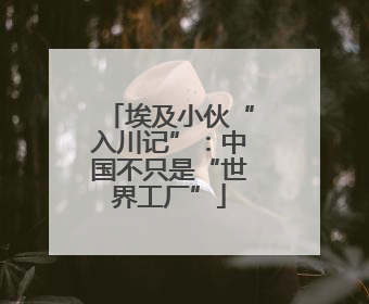 埃及小伙“入川记”：中国不只是“世界工厂”