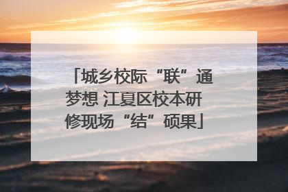 城乡校际“联”通梦想 江夏区校本研修现场“结”硕果