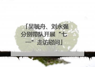吴毓舟、刘永强分别带队开展“七一”走访慰问