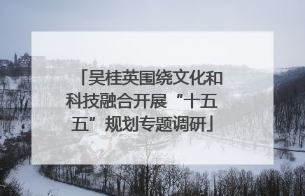 吴桂英围绕文化和科技融合开展“十五五”规划专题调研
