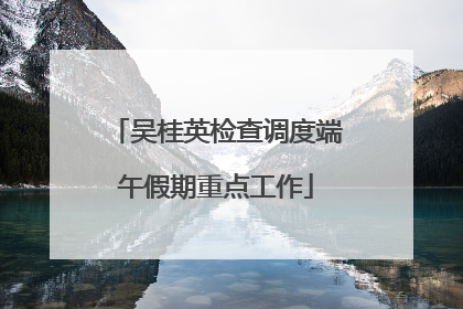 吴桂英检查调度端午假期重点工作