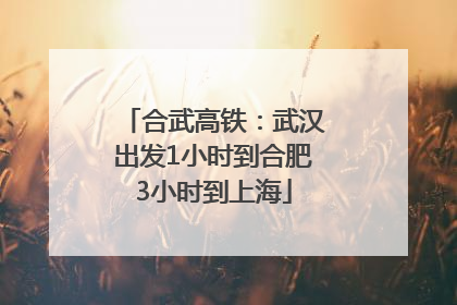 合武高铁：武汉出发1小时到合肥3小时到上海