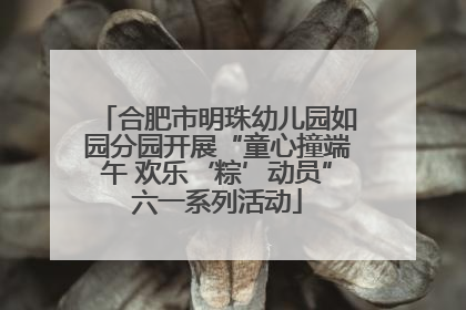 合肥市明珠幼儿园如园分园开展“童心撞端午 欢乐‘粽’动员”六一系列活动