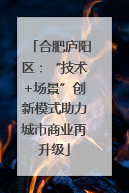 合肥庐阳区：“技术+场景”创新模式助力城市商业再升级