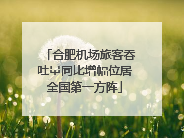 合肥机场旅客吞吐量同比增幅位居全国第一方阵
