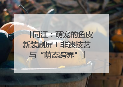 同江：萌宠的鱼皮新装刷屏！非遗技艺与“萌态跨界”