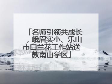 名师引领共成长，峨眉实小、乐山市白兰花工作站送教南山学区
