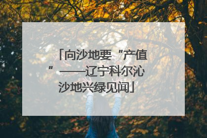 向沙地要“产值”——辽宁科尔沁沙地兴绿见闻
