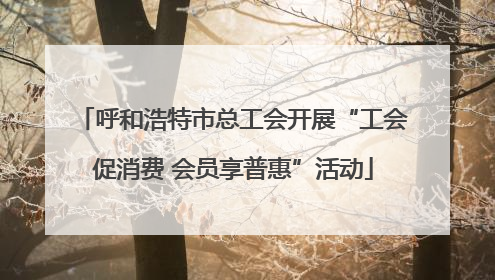 呼和浩特市总工会开展“工会促消费 会员享普惠”活动