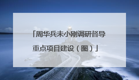 周华兵未小刚调研督导重点项目建设（图）