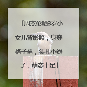 周杰伦晒3岁小女儿背影照，身穿格子裙，头扎小辫子，萌态十足