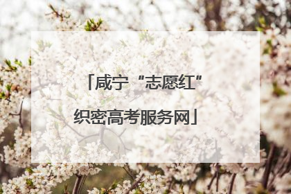 咸宁“志愿红”织密高考服务网