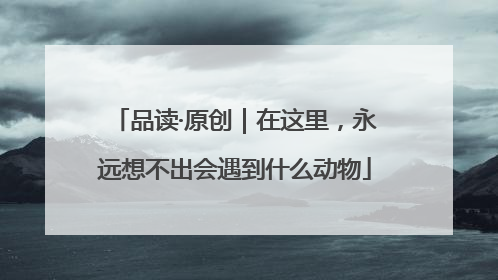 品读·原创｜在这里，永远想不出会遇到什么动物