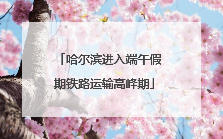 哈尔滨进入端午假期铁路运输高峰期