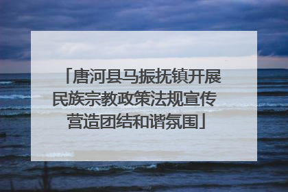 唐河县马振抚镇开展民族宗教政策法规宣传 营造团结和谐氛围