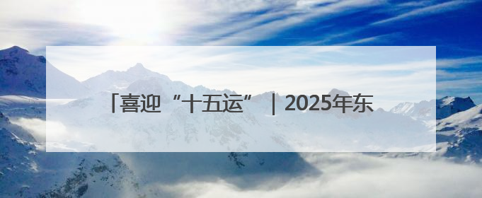 喜迎“十五运”｜2025年东莞市小学生足球比赛圆满收官