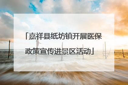 嘉祥县纸坊镇开展医保政策宣传进景区活动