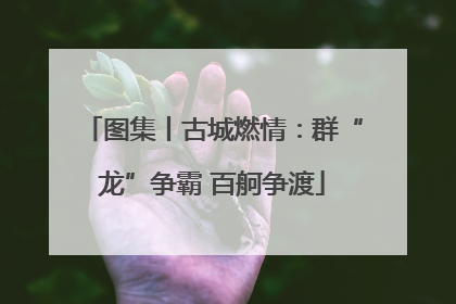 图集丨古城燃情：群“龙”争霸 百舸争渡