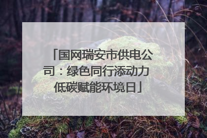 国网瑞安市供电公司：绿色同行添动力 低碳赋能环境日