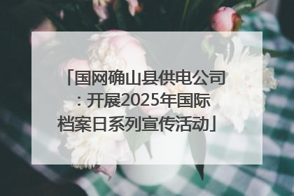 国网确山县供电公司：开展2025年国际档案日系列宣传活动