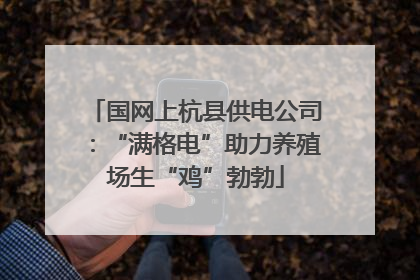 国网上杭县供电公司：“满格电”助力养殖场生“鸡”勃勃
