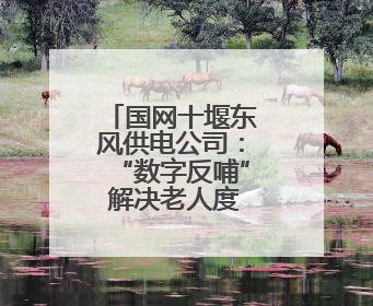 国网十堰东风供电公司：“数字反哺” 解决老人度夏缴费难题