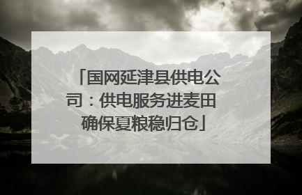 国网延津县供电公司：供电服务进麦田 确保夏粮稳归仓