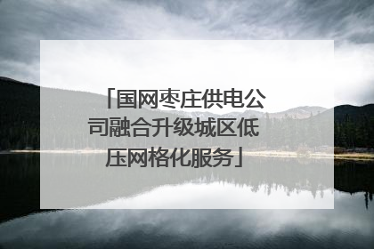 国网枣庄供电公司融合升级城区低压网格化服务