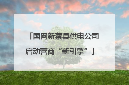 国网新蔡县供电公司启动营商“新引擎”